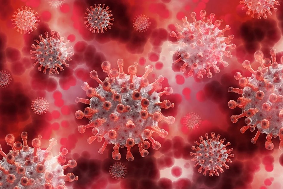 как поднять иммунитет после коронавируса